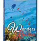 Wonders of the Red Sea Dvd