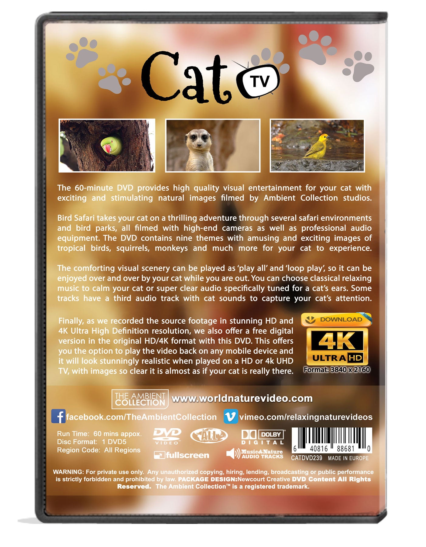 Cat TV Dvd