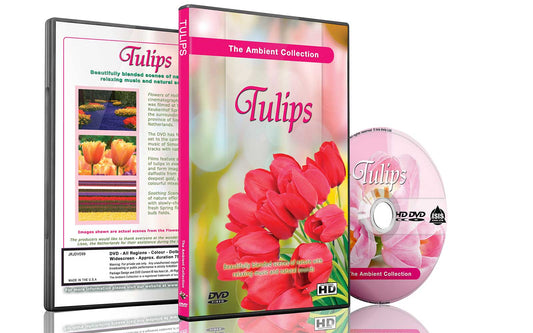 Tulips - Flowers of Holland Dvd